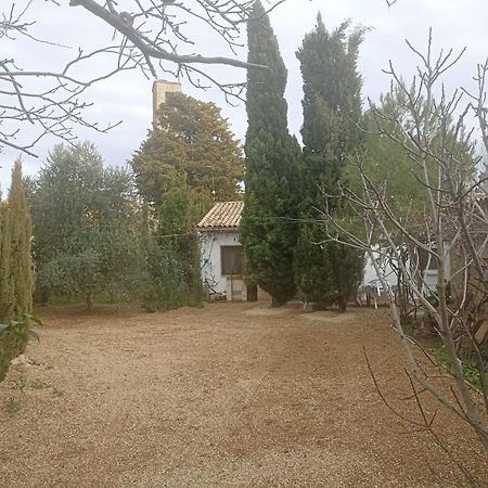 Casa Junto Al Parque Natural De Las Bardenas Sadaba Ngoại thất bức ảnh