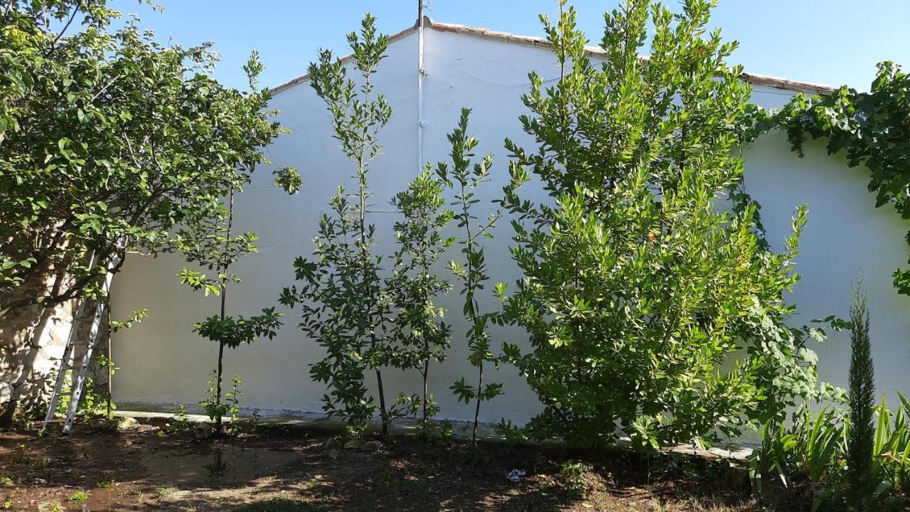 Casa Junto Al Parque Natural De Las Bardenas Sadaba Ngoại thất bức ảnh